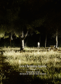 Chemins égarés (Les)